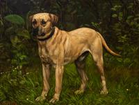 Five Works of Art depicting Mastiffs Largest: 19 1/2 x 25 1/2 inches.