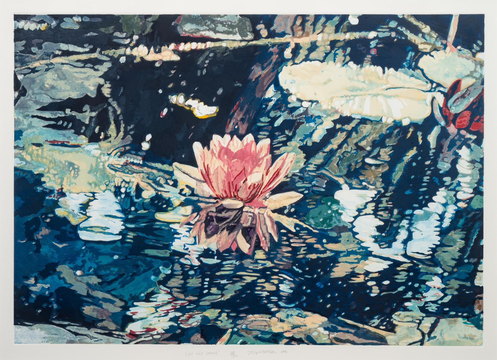 Lily for Lannis