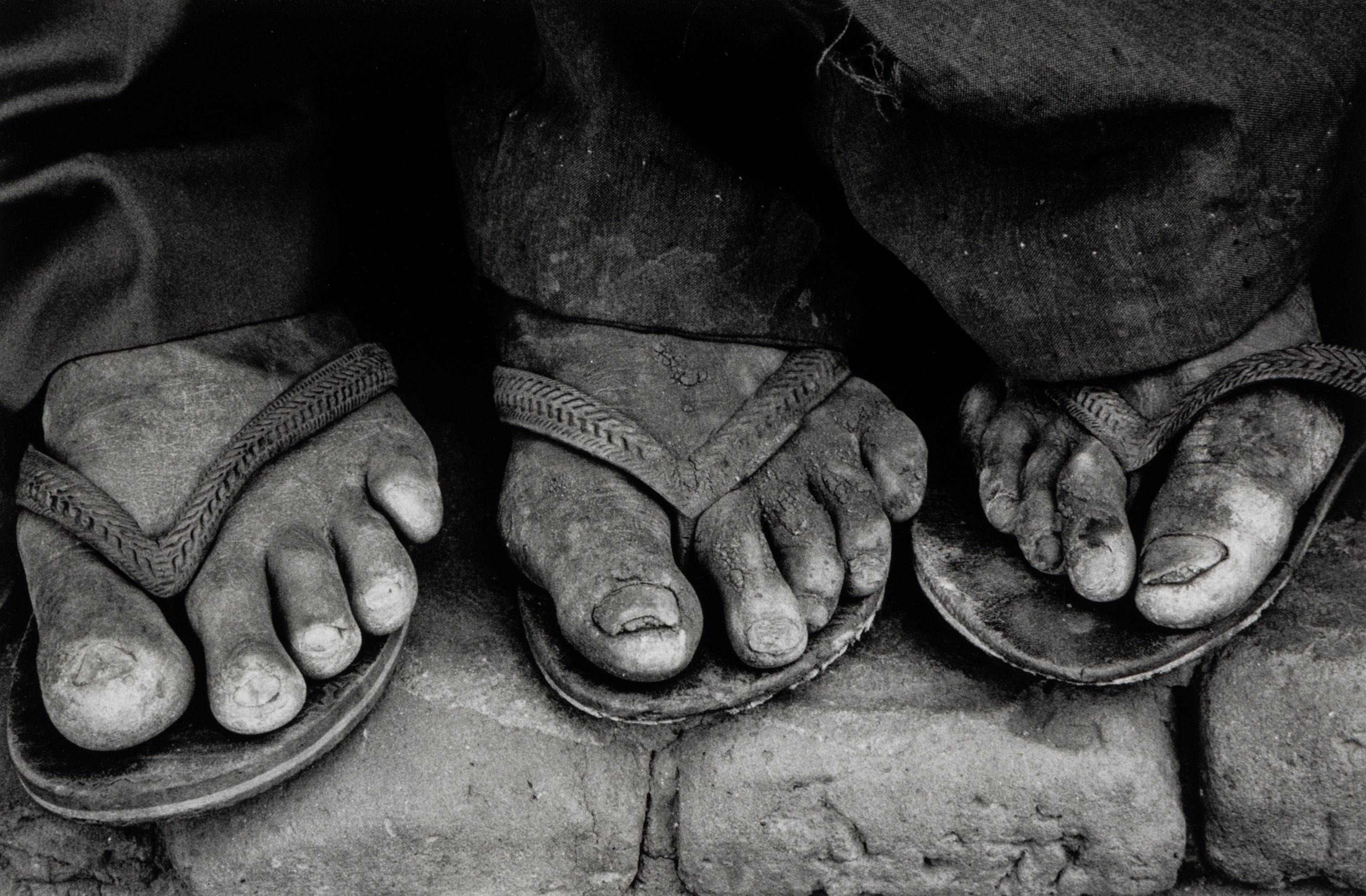 Brasil, 1983