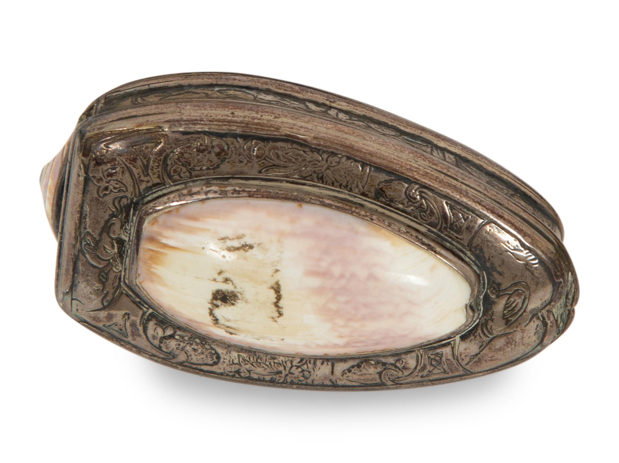 A Group of Seven Shell Mounted Items