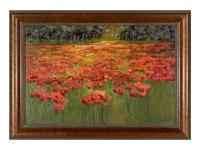 Poppies in Evening, 2012