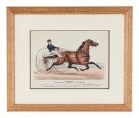 Trotting mare "LUCY" as she appeared