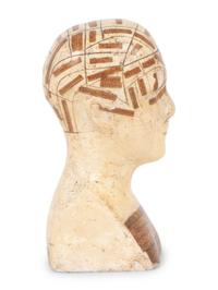 A Chalkware Phrenology Head