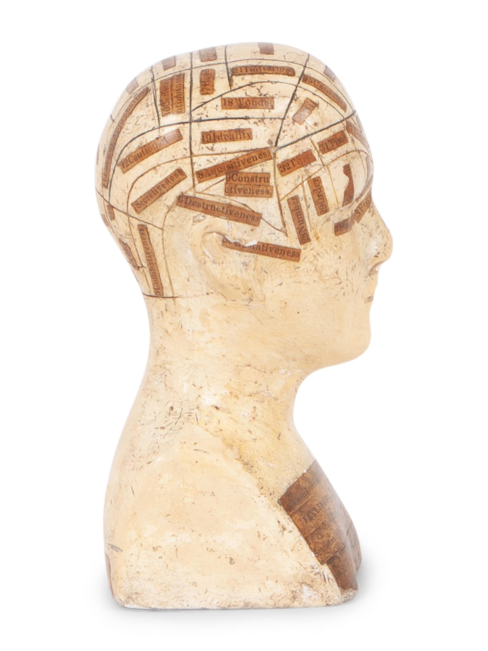 A Chalkware Phrenology Head