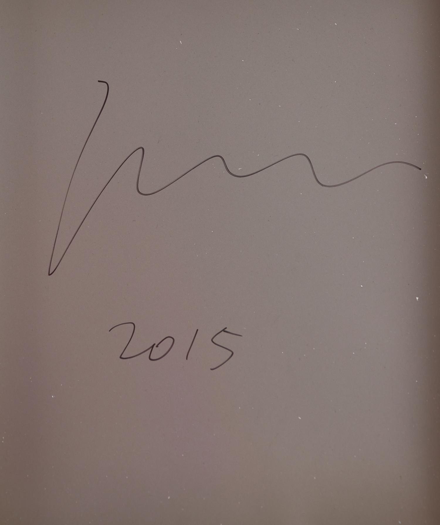 Xu Zhen (Chinese, b. 1978) — Under Heaven--2232IO0511 , 2015