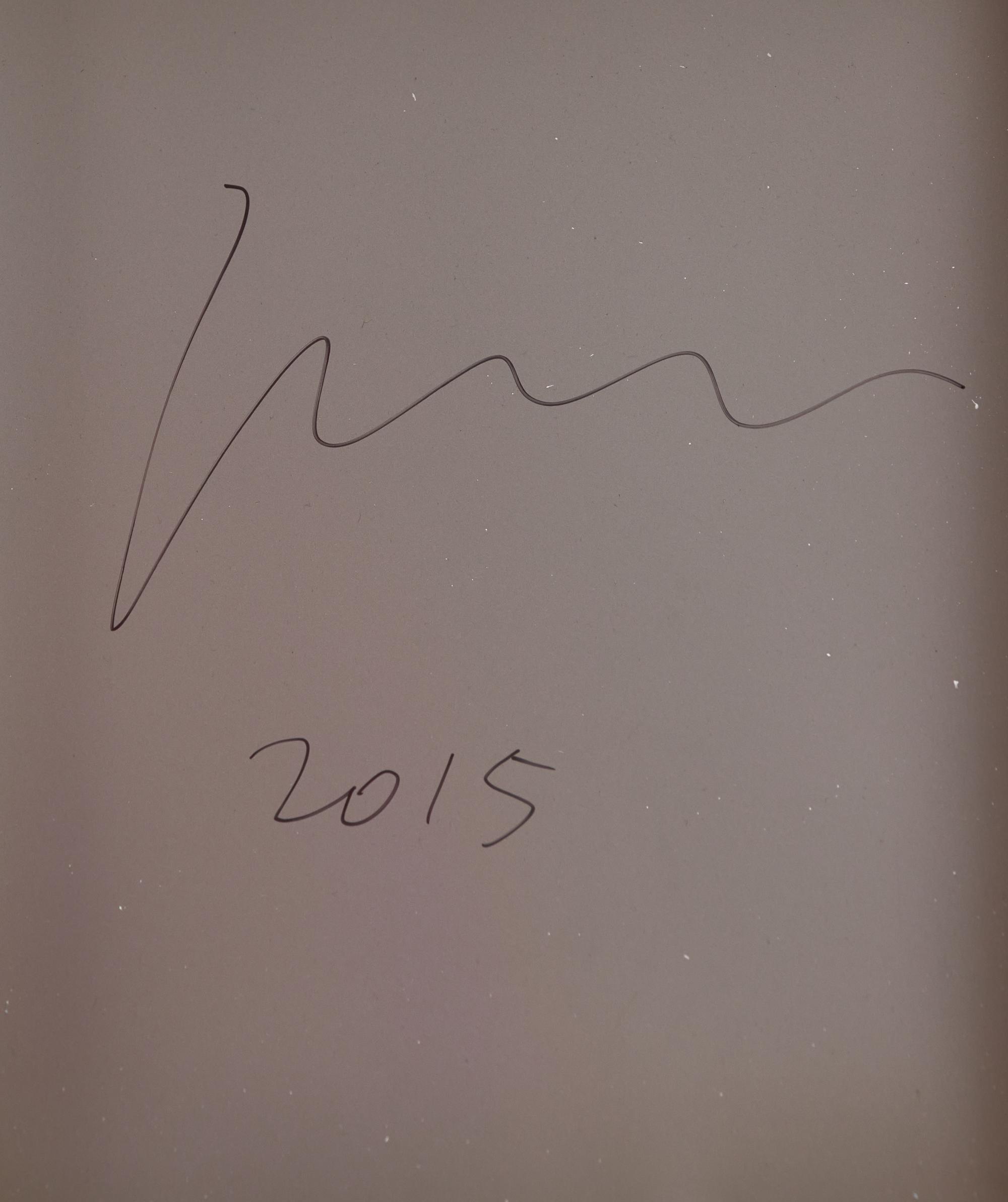 Xu Zhen (Chinese, b. 1978) — Under Heaven--2232IO0511 , 2015