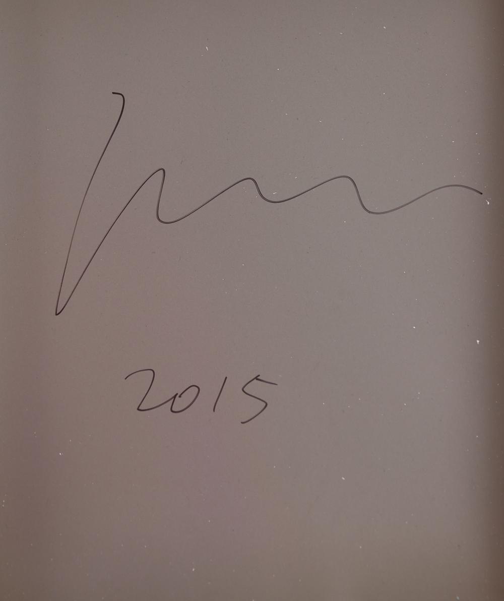 Xu Zhen (Chinese, b. 1978)