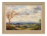 Sweeping Landscape with Tree and Mountains