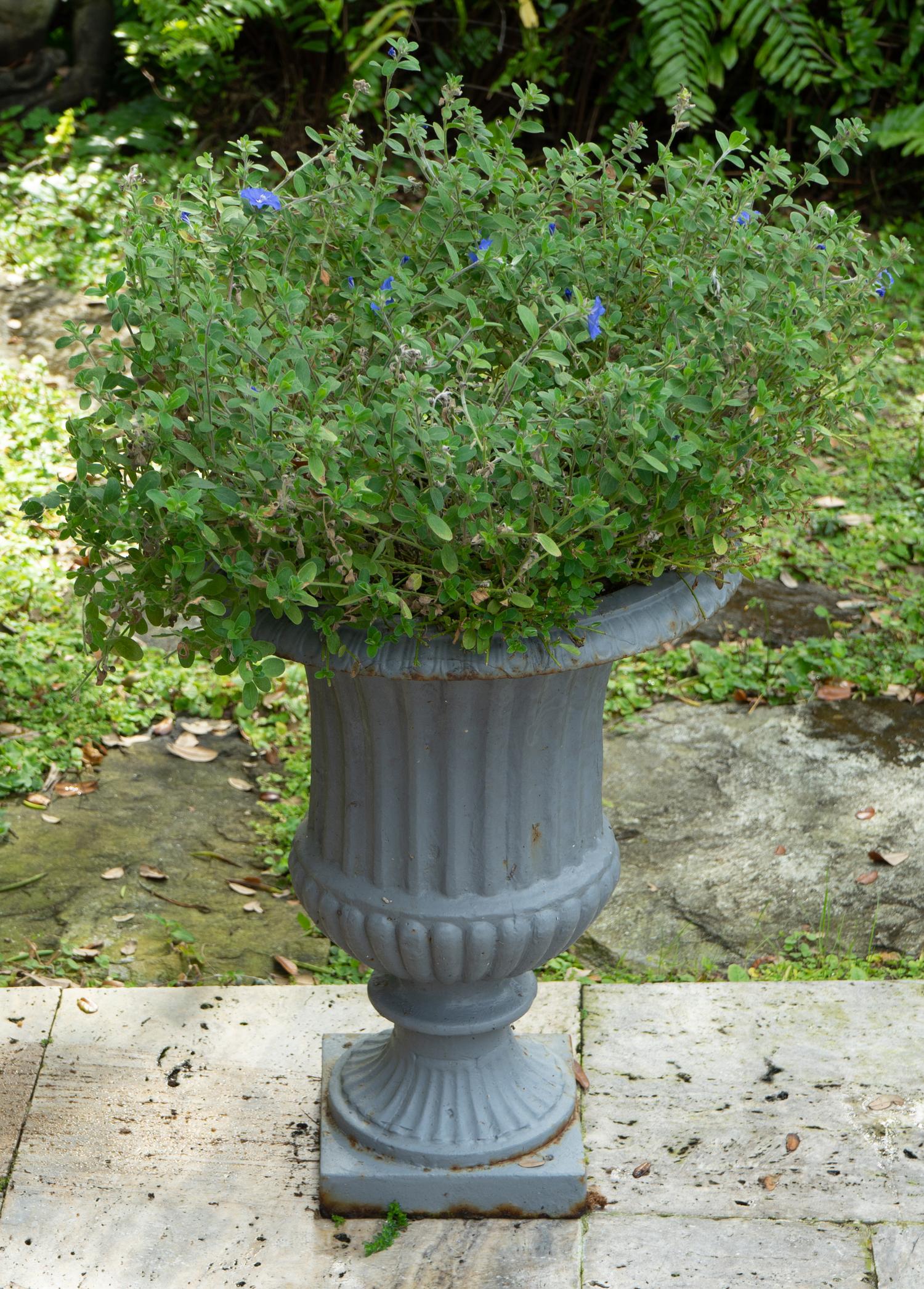 Four Campana Form Painted Iron Jardinieres on Plinth Bases