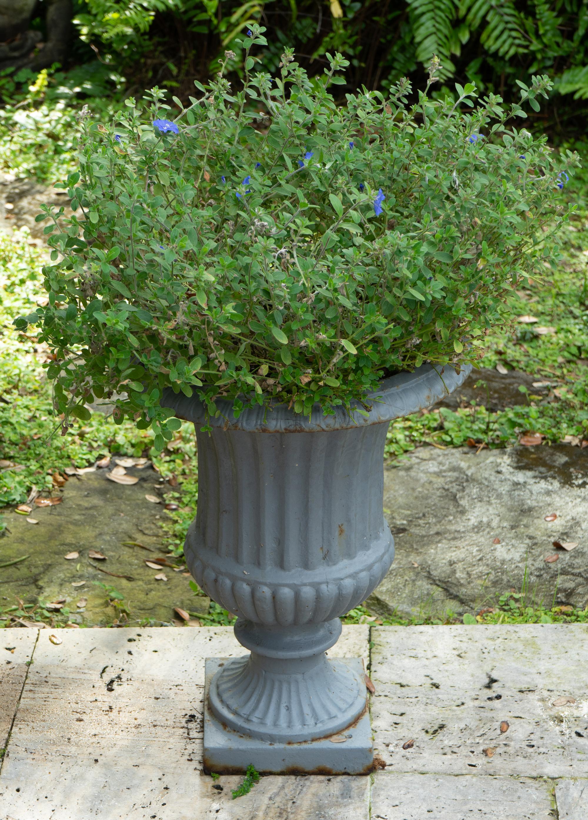 Four Campana Form Painted Iron Jardinieres on Plinth Bases