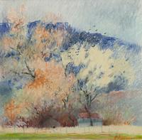 March Cottonwoods