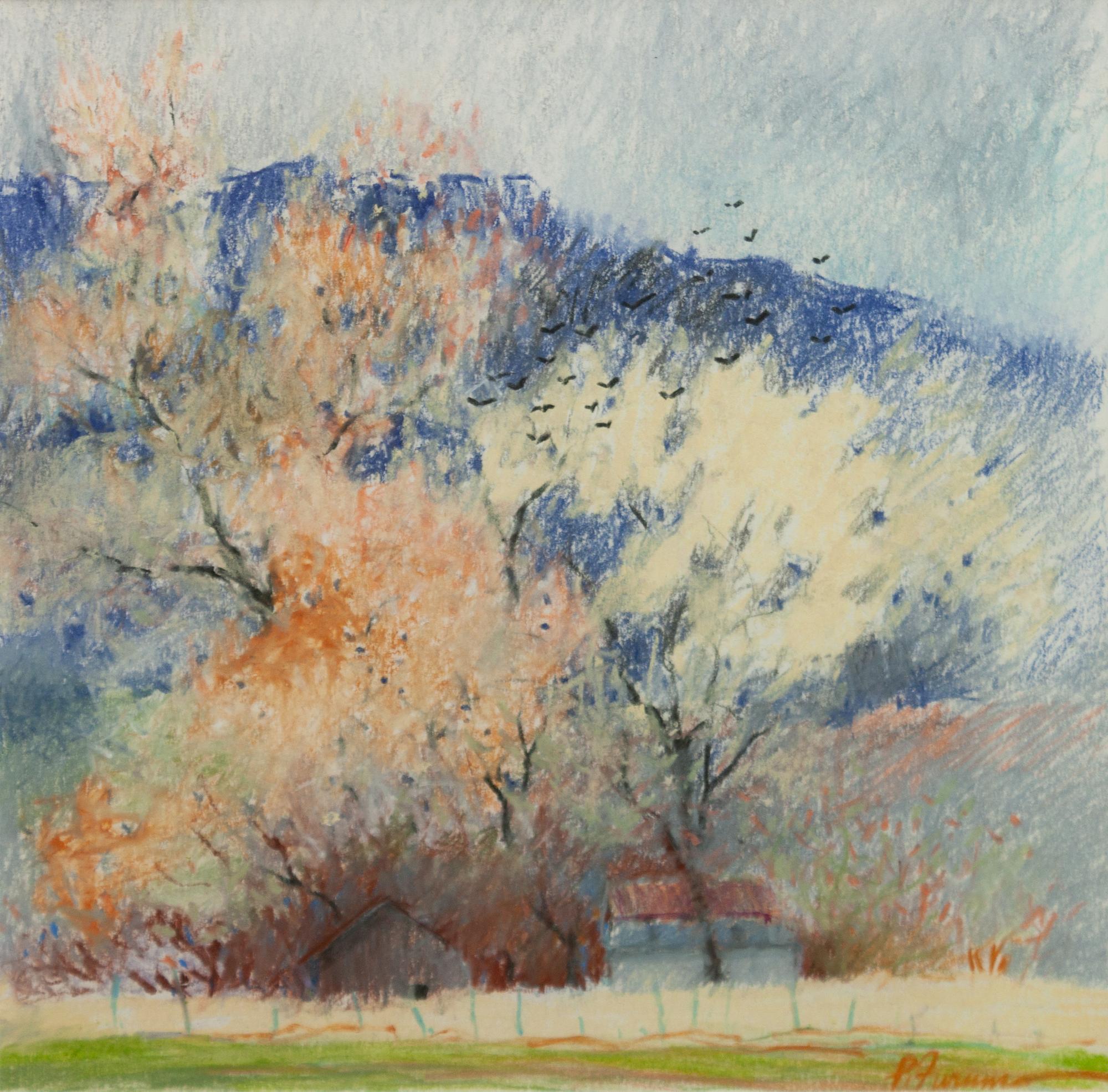 March Cottonwoods