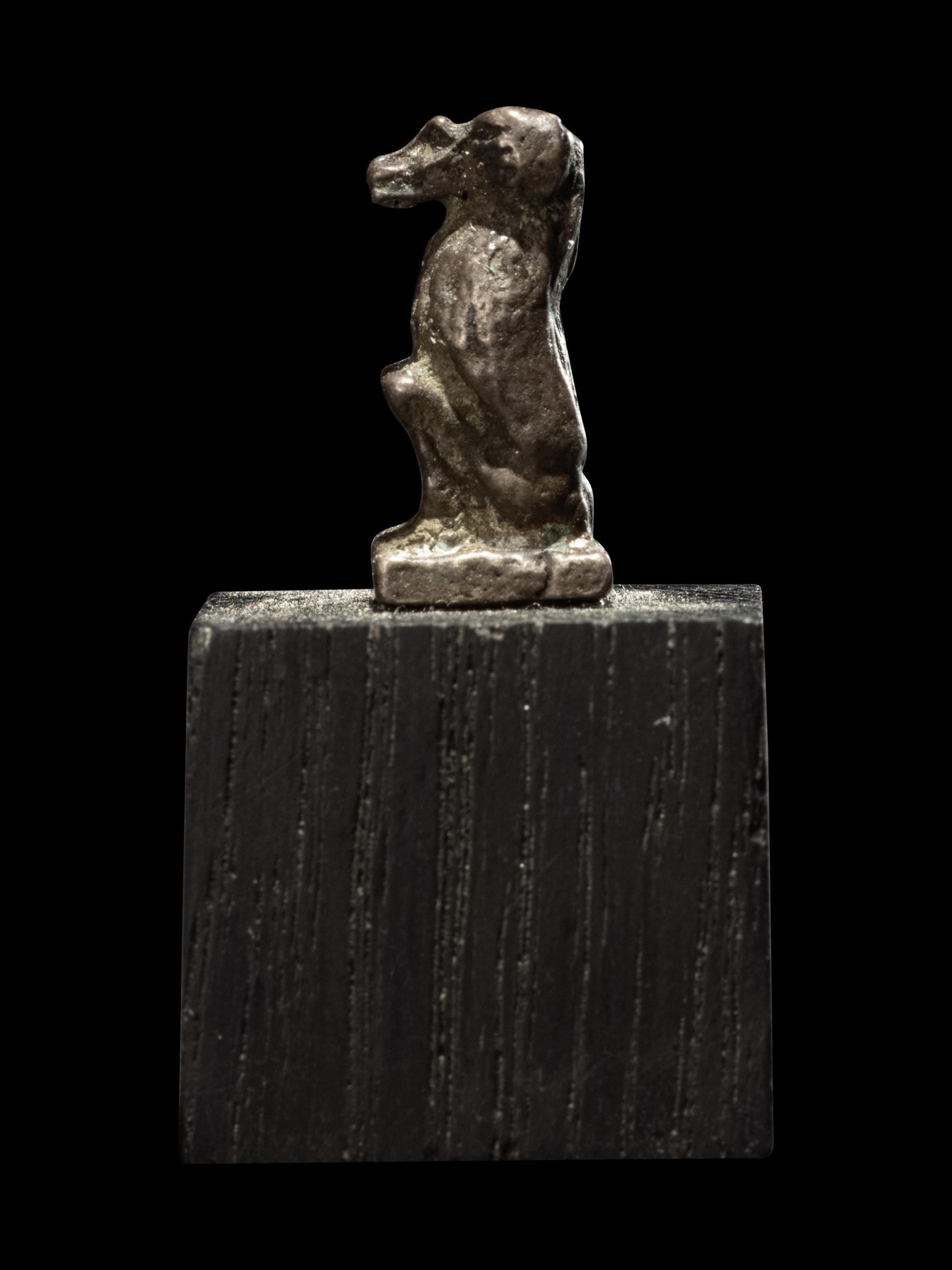 An Egyptian Silver Baboon