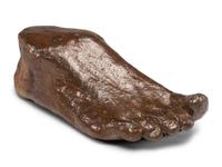 A Sewer Tile Foot