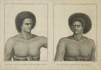 Ten Works from Atlas de Voyage a la recherche de la Perouse — CIRCA 1811