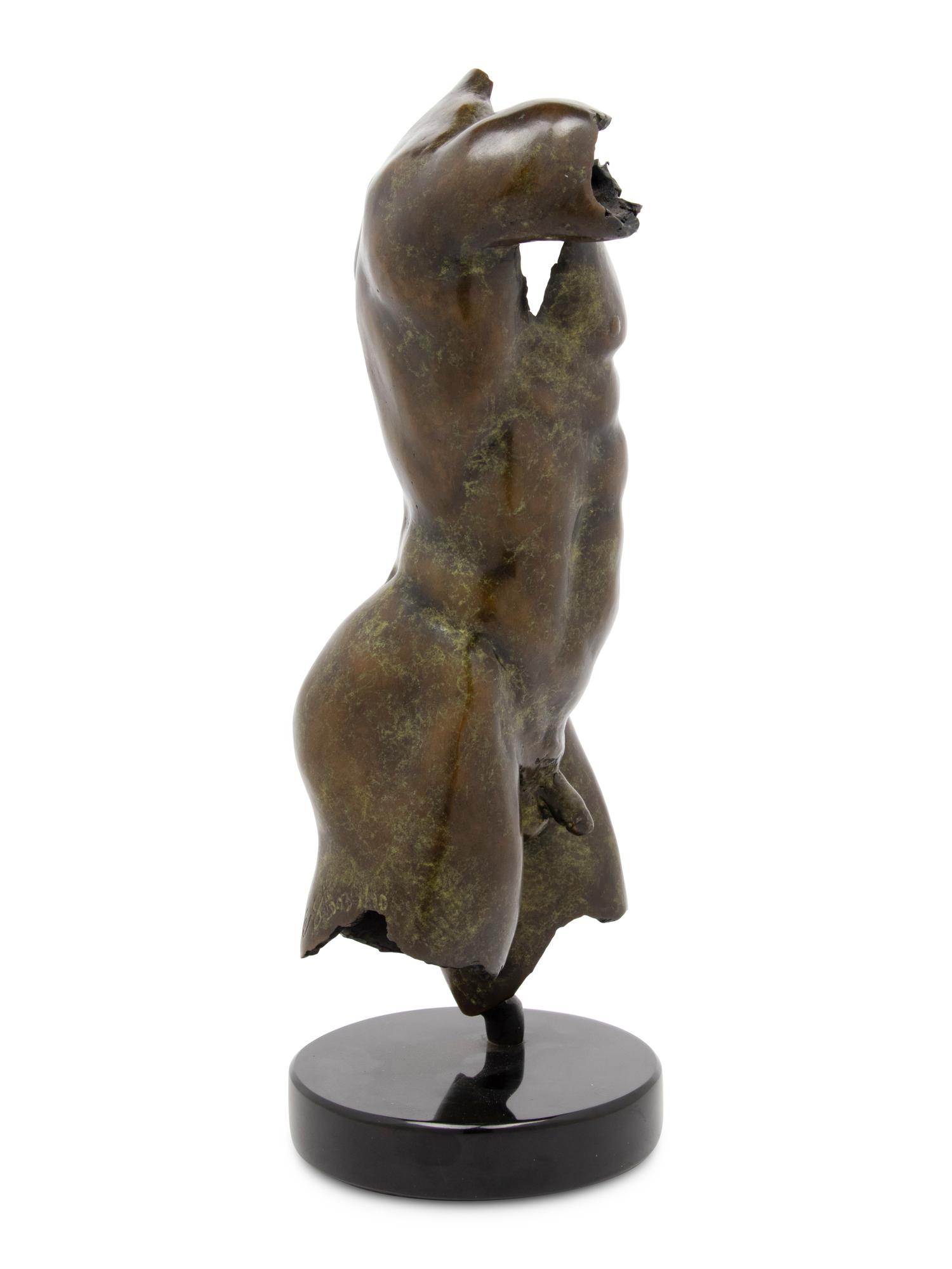 A Bronze Torso