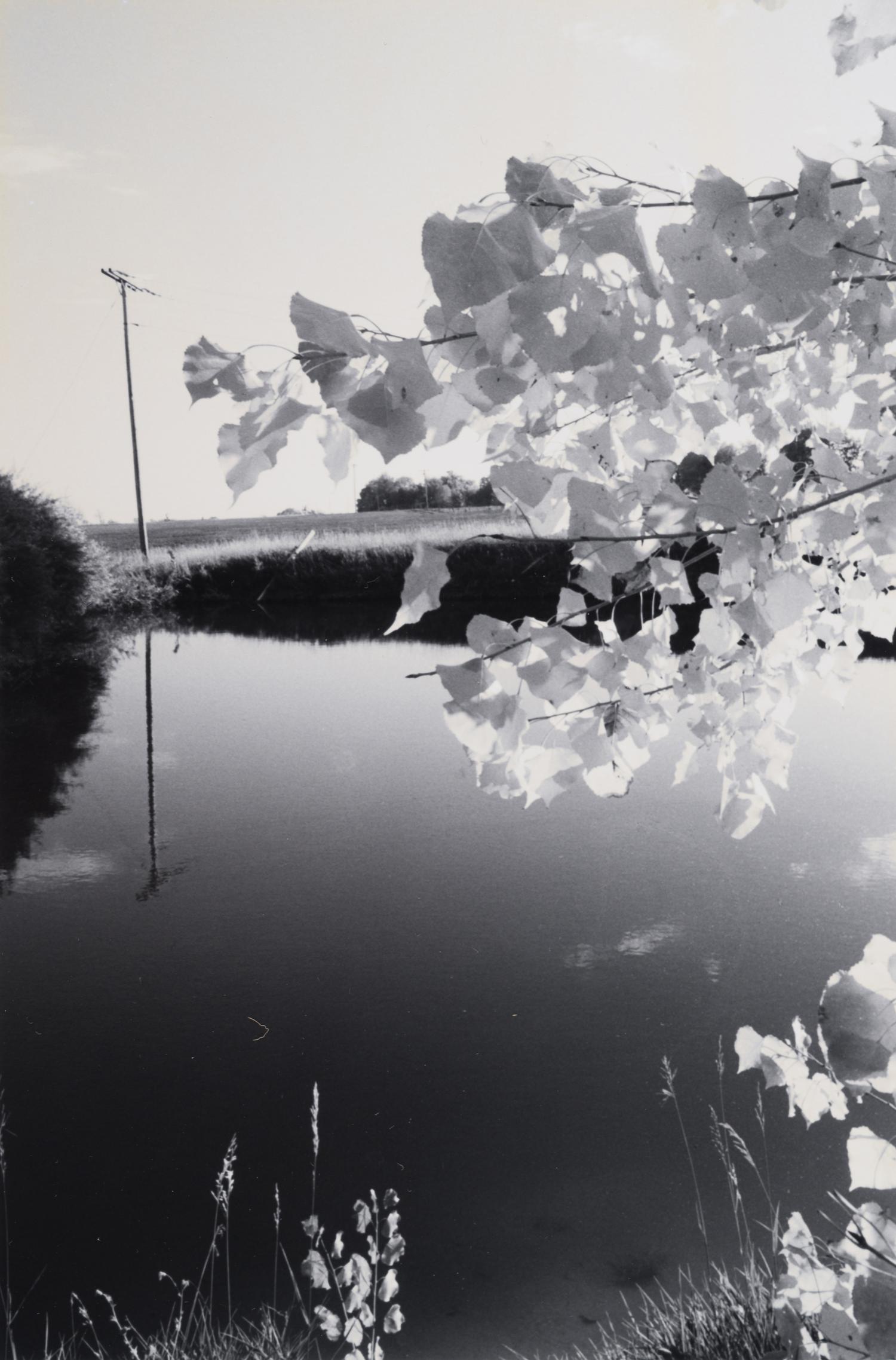 A group of three landscapes