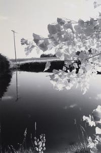 A group of three landscapes