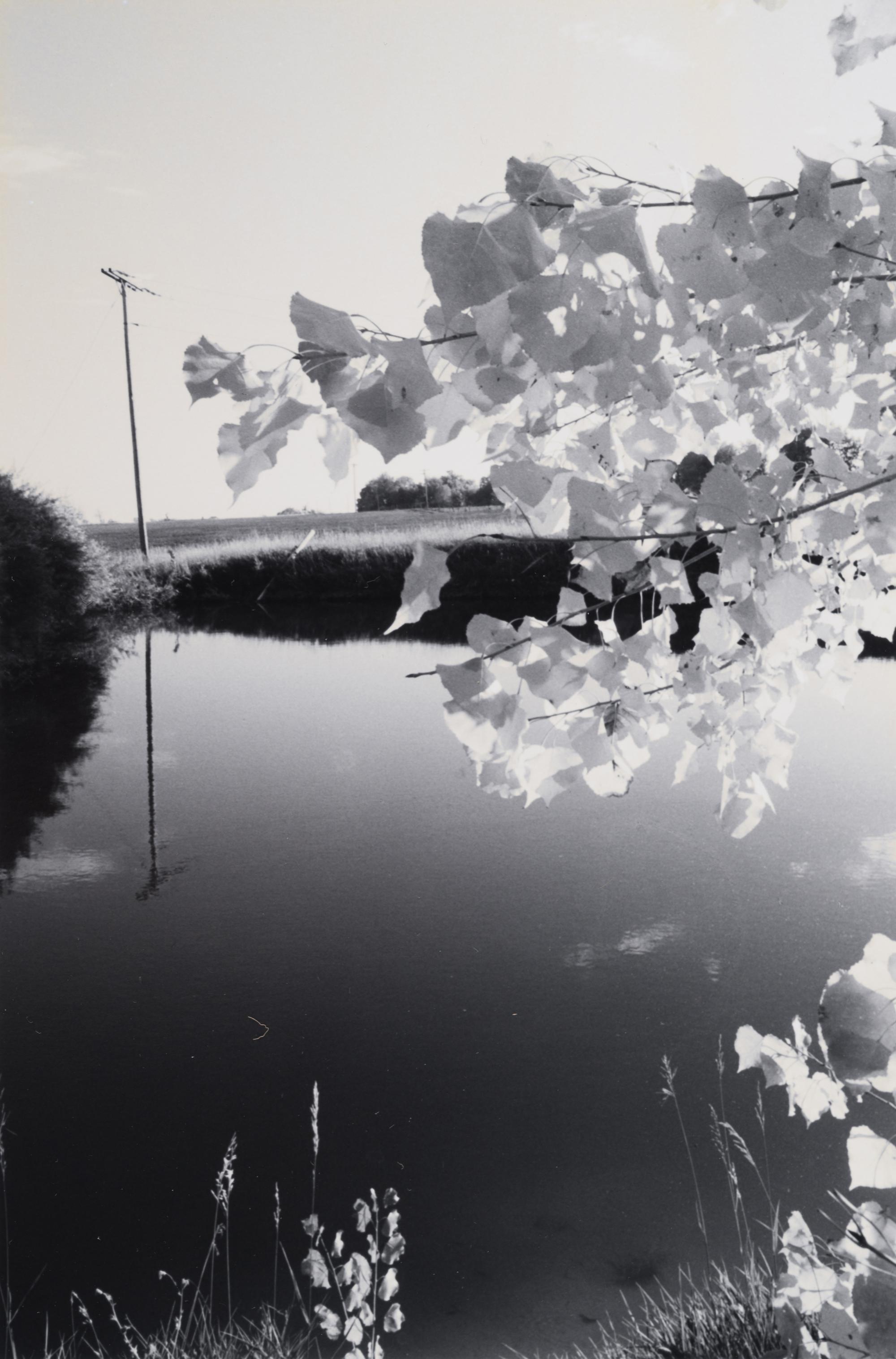 A group of three landscapes