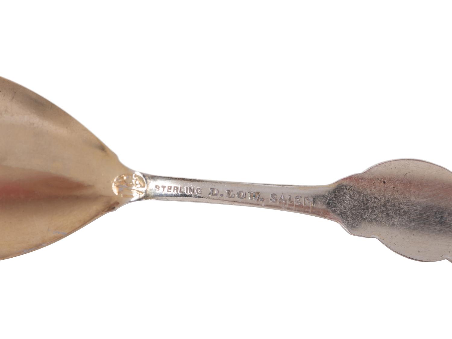 Twenty Silver and Enamel Souvenir Spoons