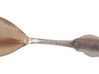 Twenty Silver and Enamel Souvenir Spoons