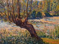Les Bords de l'Yerres, Saules du Moulin de Périgny