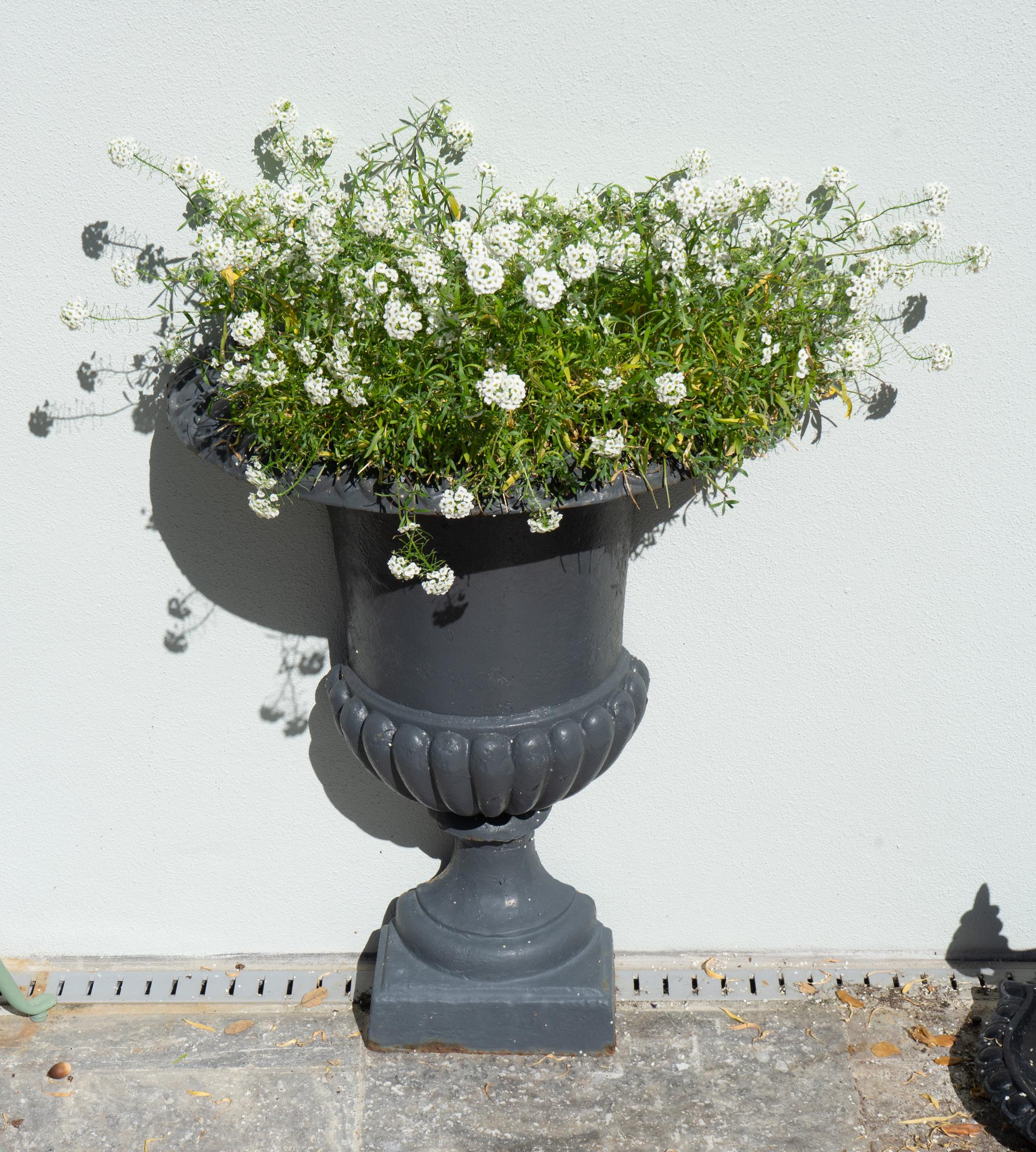 A Pair of Flat-Sided Iron Wall Planters