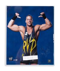 A Large Group of Professional Wrestling Signed Items Including Ric Flair and Multiple Deceased Wrestlers
