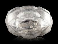 A Lalique Tortue Vase