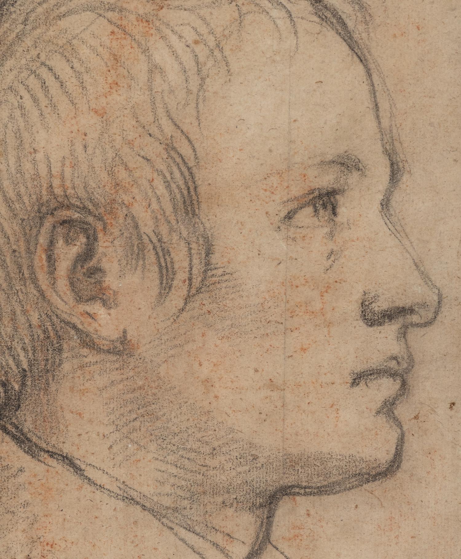 Portrait of a Young Man in Profile