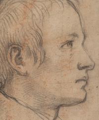 Portrait of a Young Man in Profile