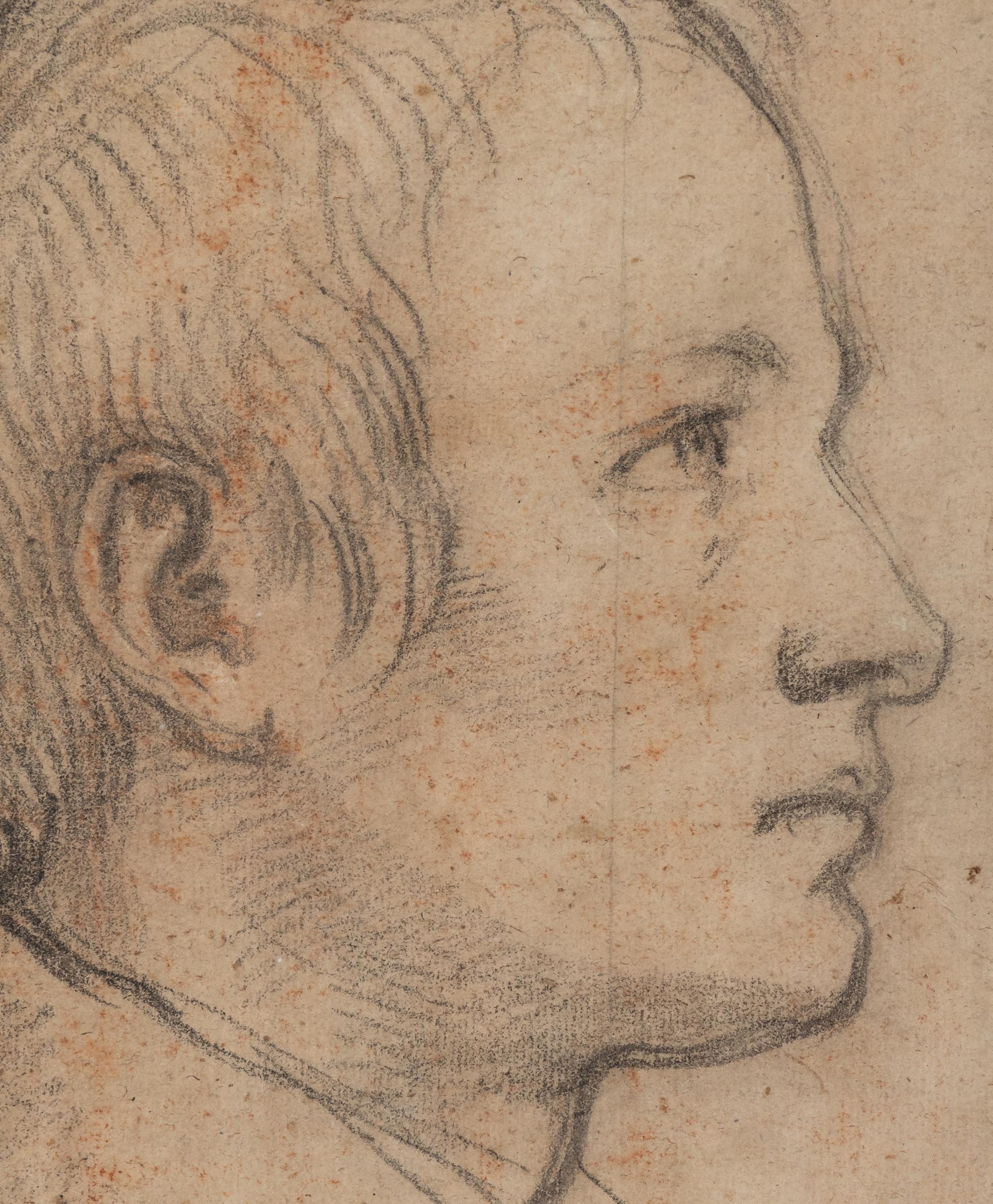 Portrait of a Young Man in Profile