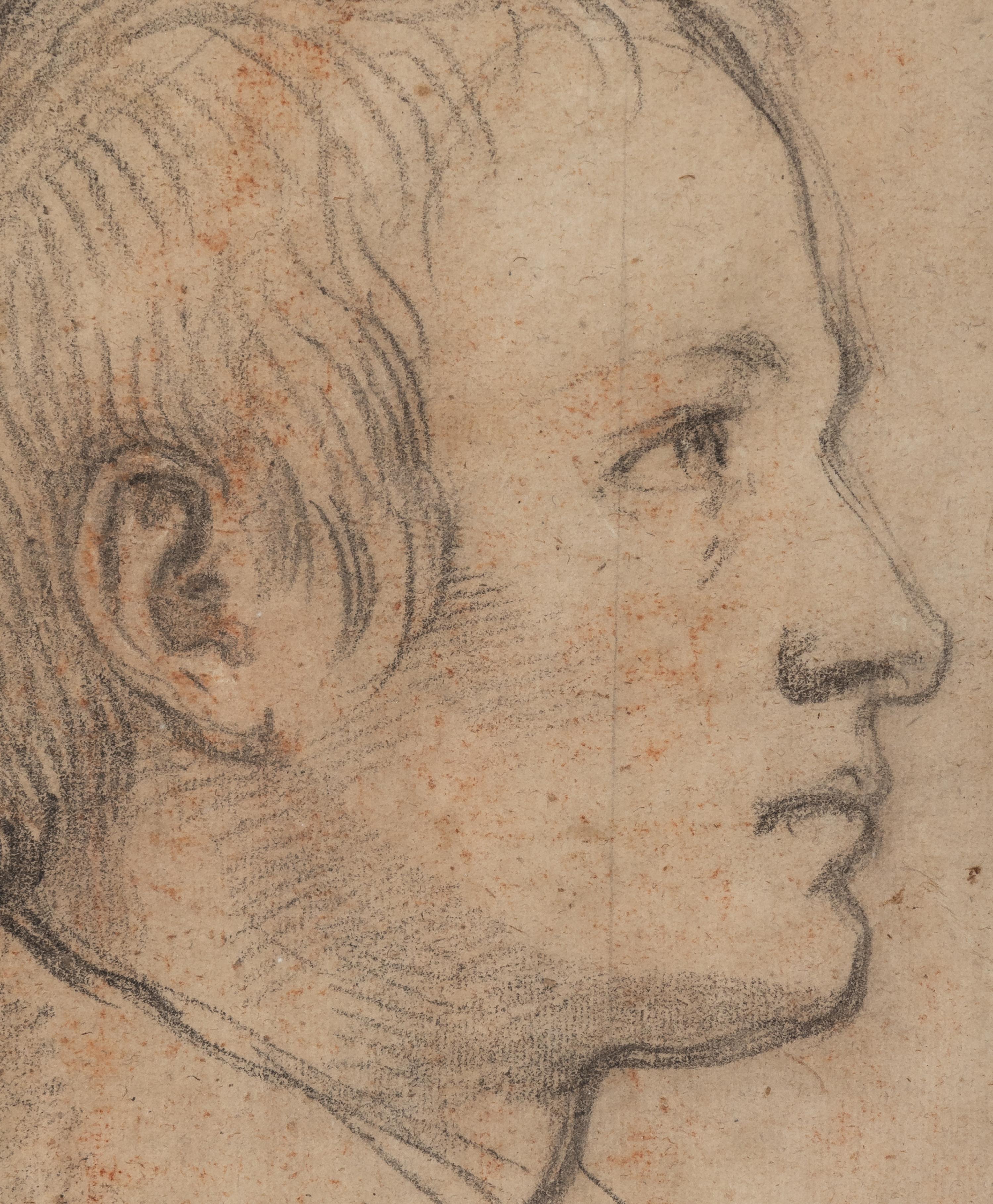 Portrait of a Young Man in Profile
