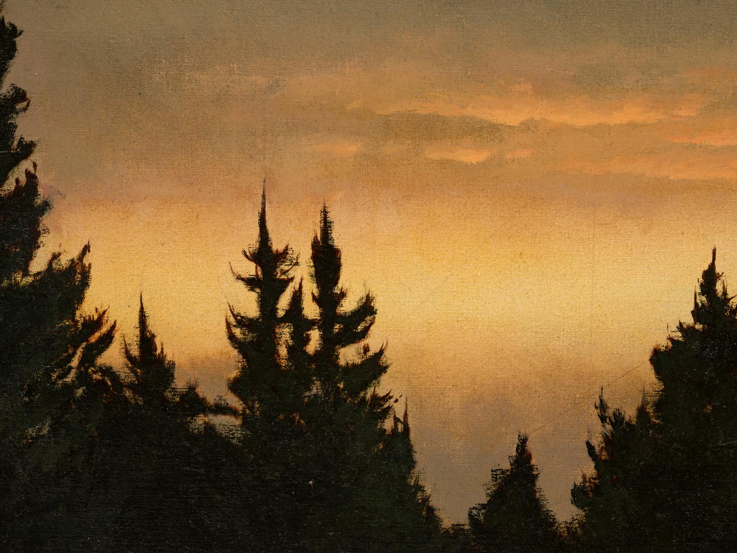 Pines at Dusk