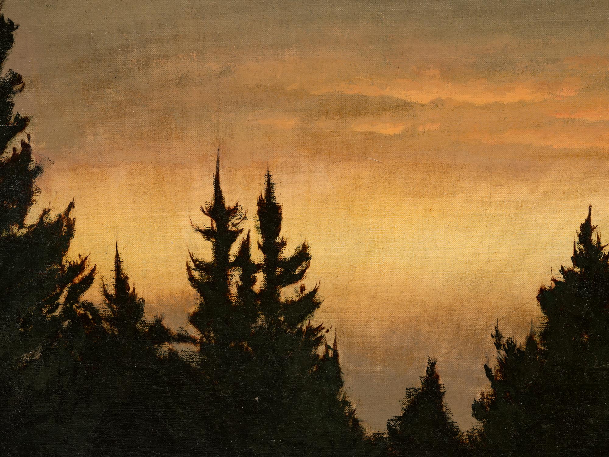 Pines at Dusk