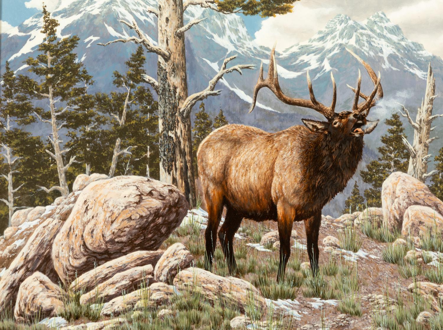 High Country Bugle