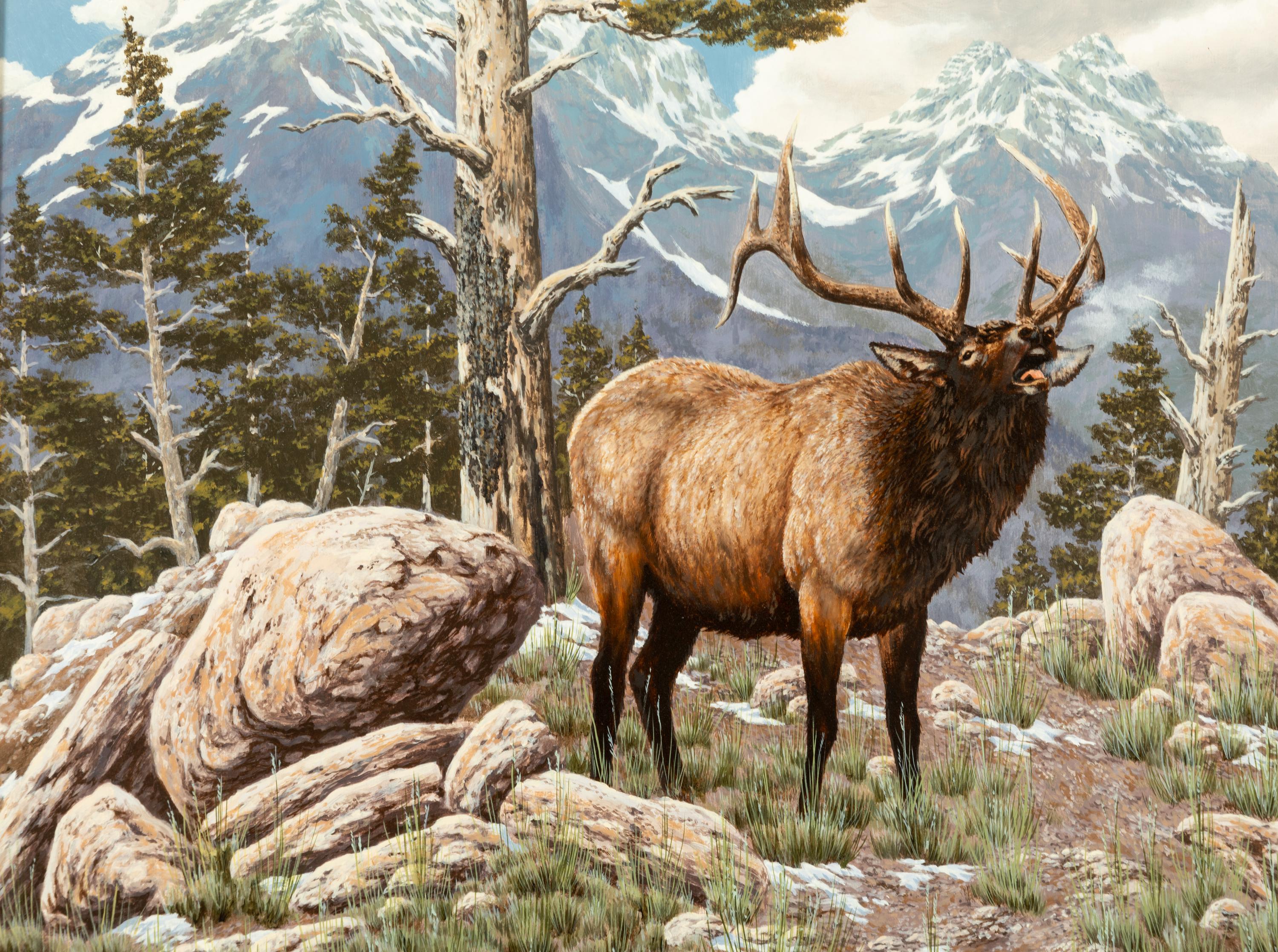 High Country Bugle