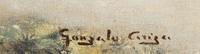 Panoramic Landscape