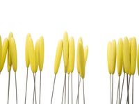 Untitled Sound Sculpture