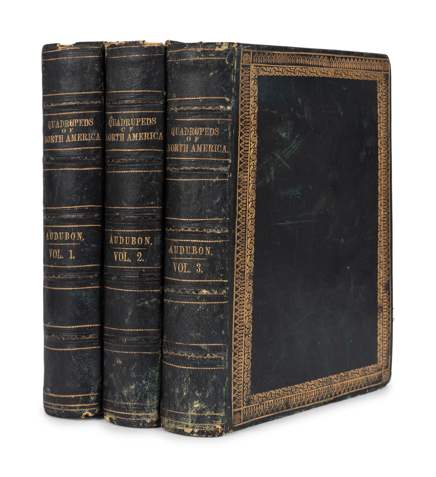 AUDUBON, John James (1785-1851) and John BACHMAN (1790-1874). The Quadrupeds of North America . New York: V. G. Audubon, 1849-1851-1854.