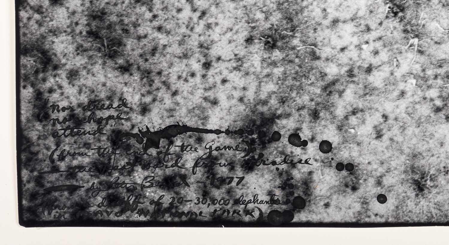 Nor Dread, Nor Hope Attend (from The End of the Game ), 1977