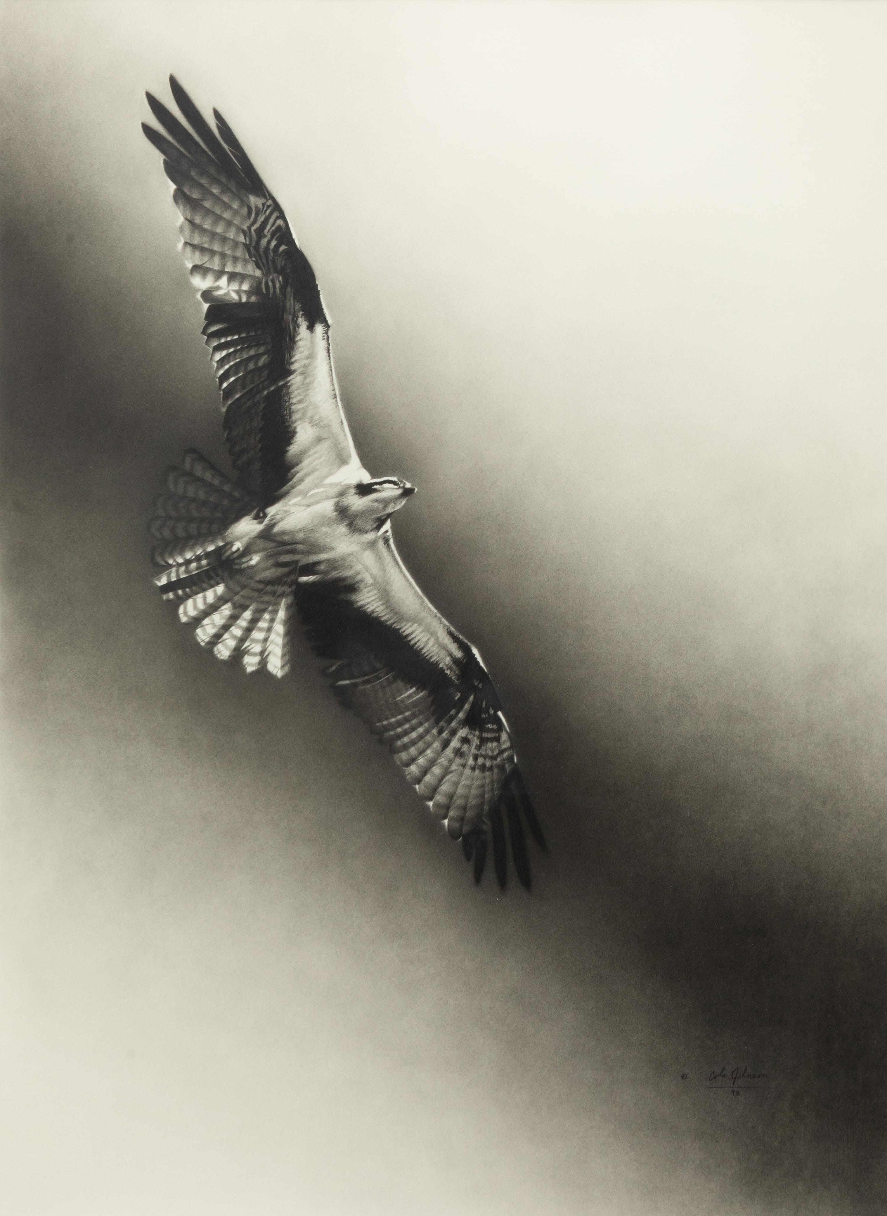 Osprey , 1996
