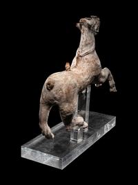 A Canosan Terracotta Horse