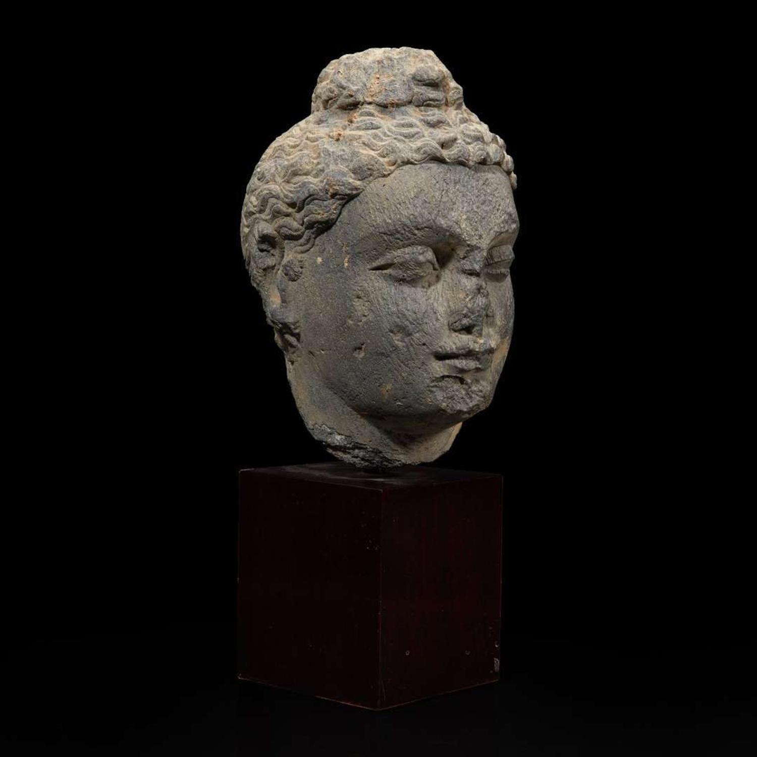 A carved schist head of a Buddha, Gandhara 健陀罗片岩佛首 3rd - 5th Century or earlier ????????