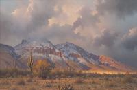 Break in a Winter Storm
