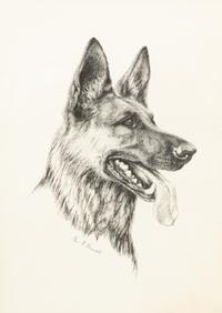 Two Works of Art depicting German Shepherds Larger: 20 x 16 inches.
