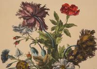 Two Pairs of Botanical Prints — 20TH CENTURY