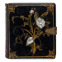 [Early Photography] 2 sixth plate daguerreotypes of young children with their dogs