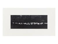 Paul Caponigro (born 1932) Running White Deer, County Wicklow, Ireland, 1967