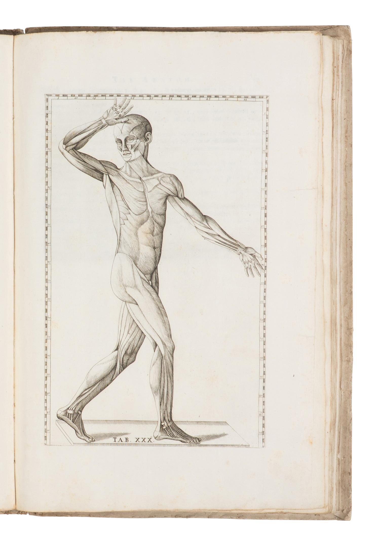 [SCIENCE & MEDICINE]. EUSTACHI, Bartolomeo (d. 1574). Tabulae Anatomicae Clarissimi viri Bartholomaei Eustachii . Rome: Laurentii & Thoma Pagliarini, 1728